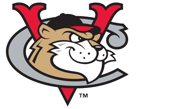 Transfinder’s sponsorship helps ValleyCats host first Education Day